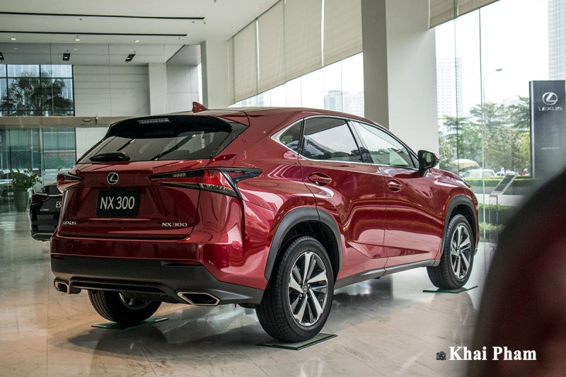 Ảnh phía sau xe Lexus NX 300 2020 1a