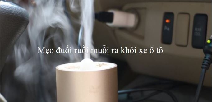 Mẹo đuổi ruồi muỗi ra khỏi xe ô tô hiệu quả và tiết kiệm nhất