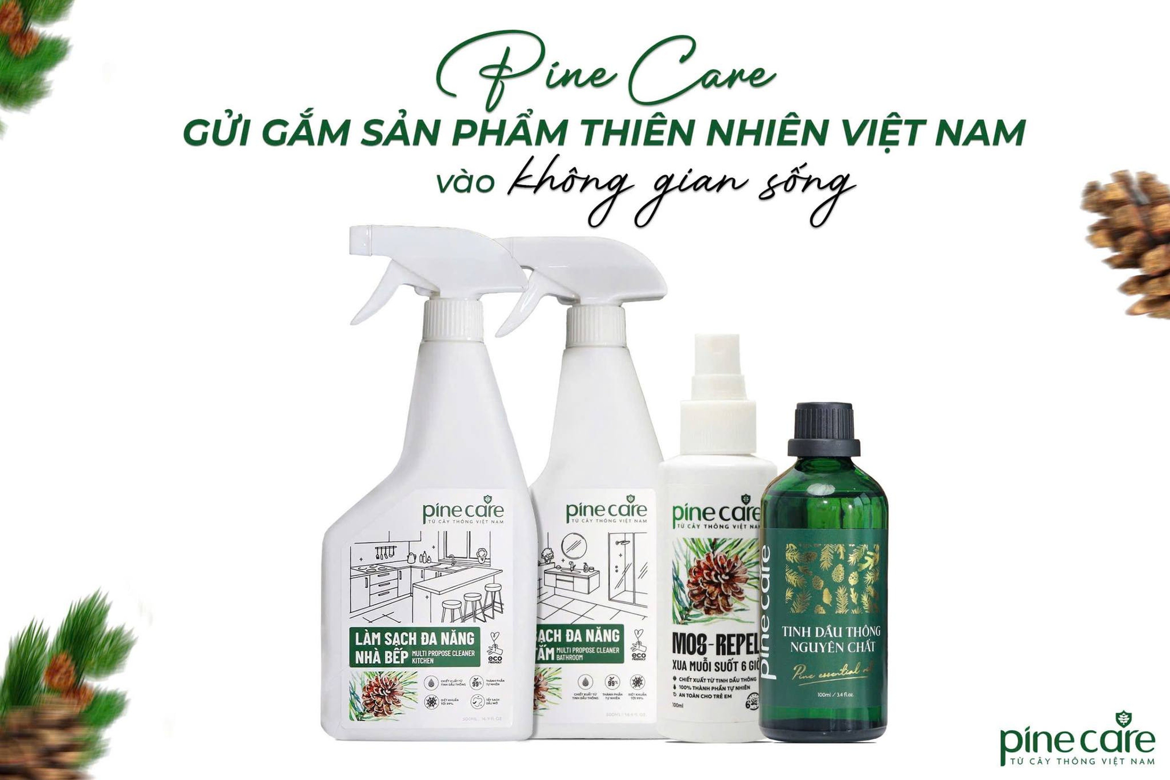 cay-thong-viet-nam-pld-1739516826.jpg