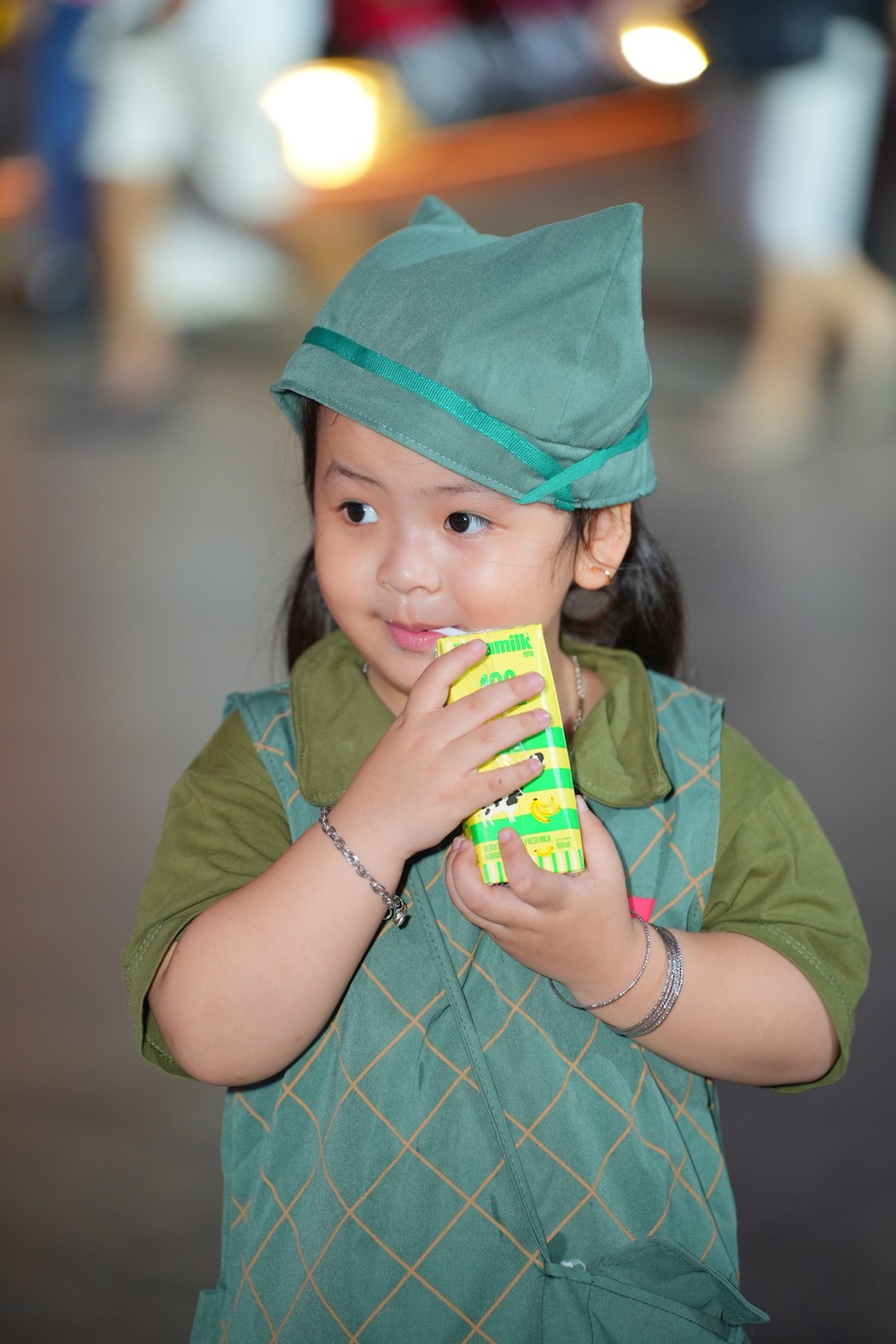 vnm-3004-09a-1746245524.JPG