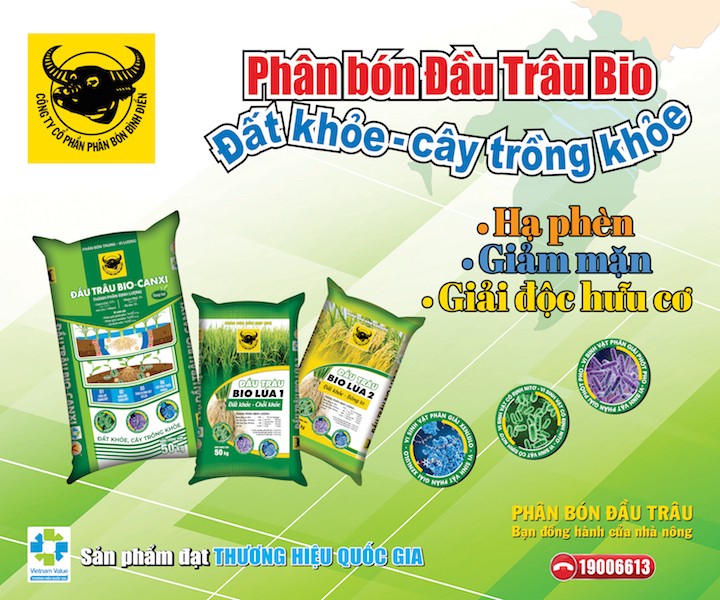 hinh-4-250x300px-1753172748.jpg