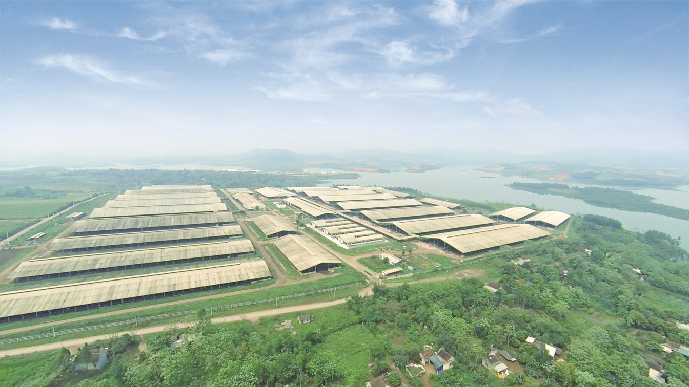trang-trai-toan-canh-1760927928.jpg
