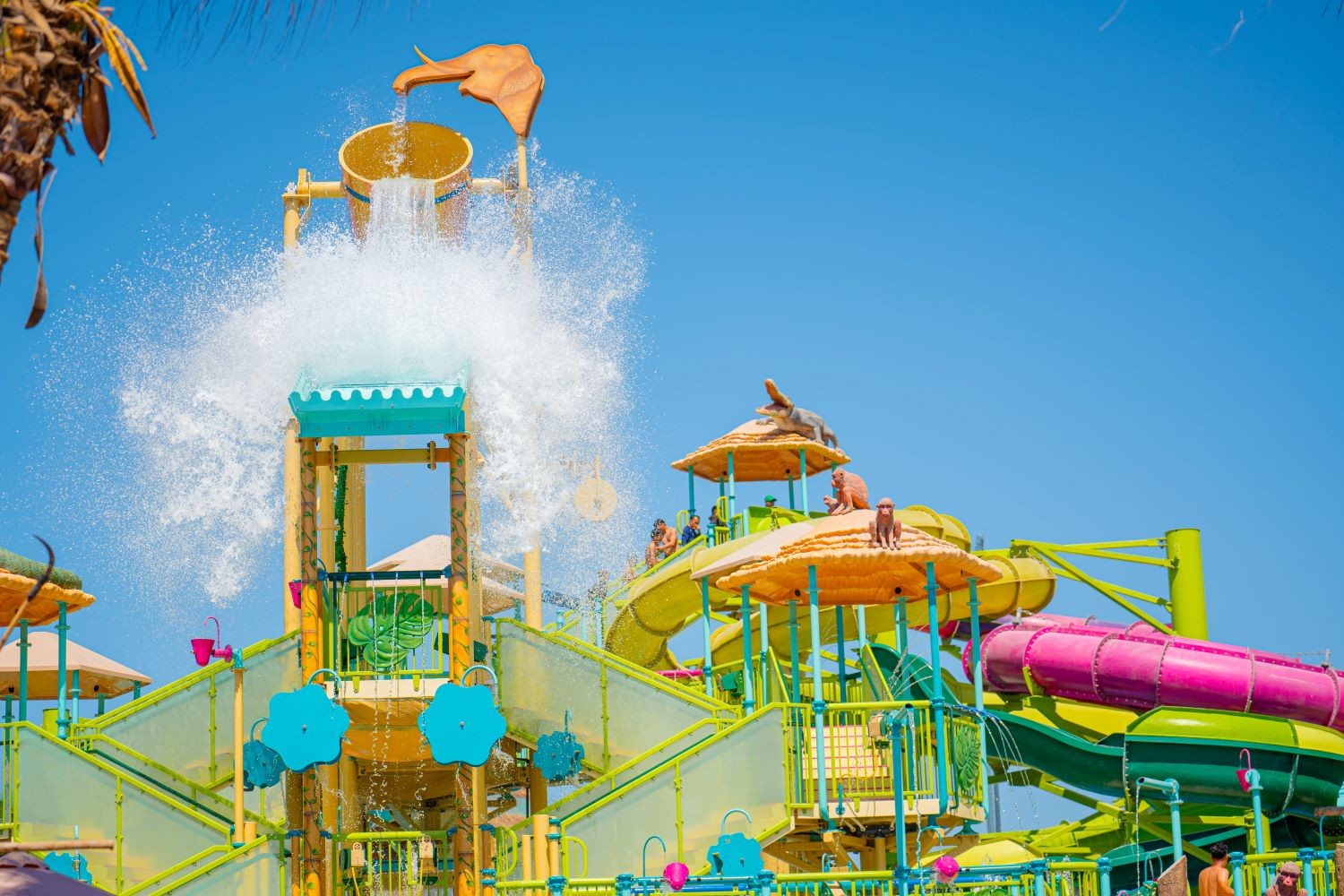 vung-tau-aqua-adventure-park-14-1783484675.jpg