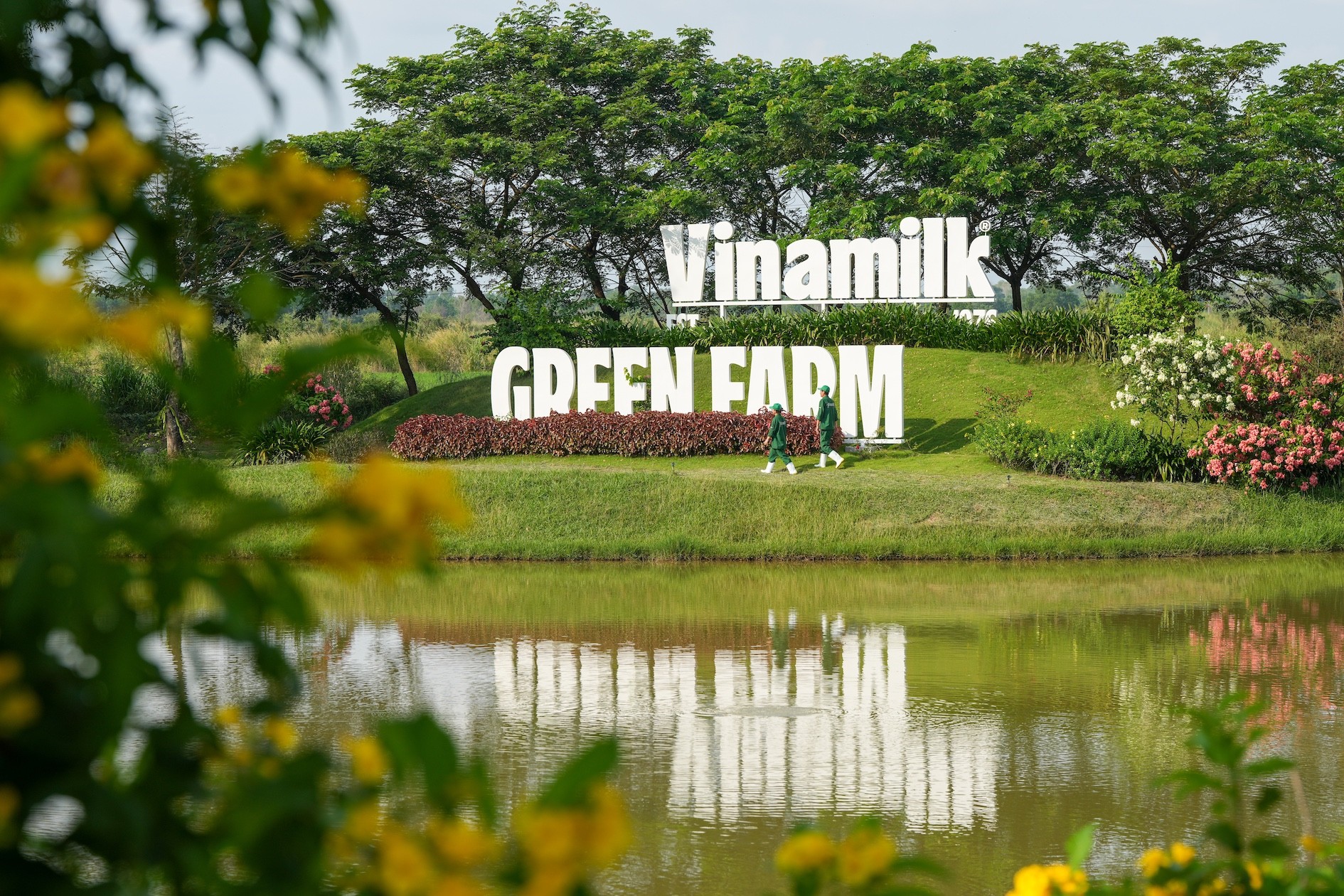 trang-trai-vinamilk-green-farm-tay-ninh-2-1783670791.jpg