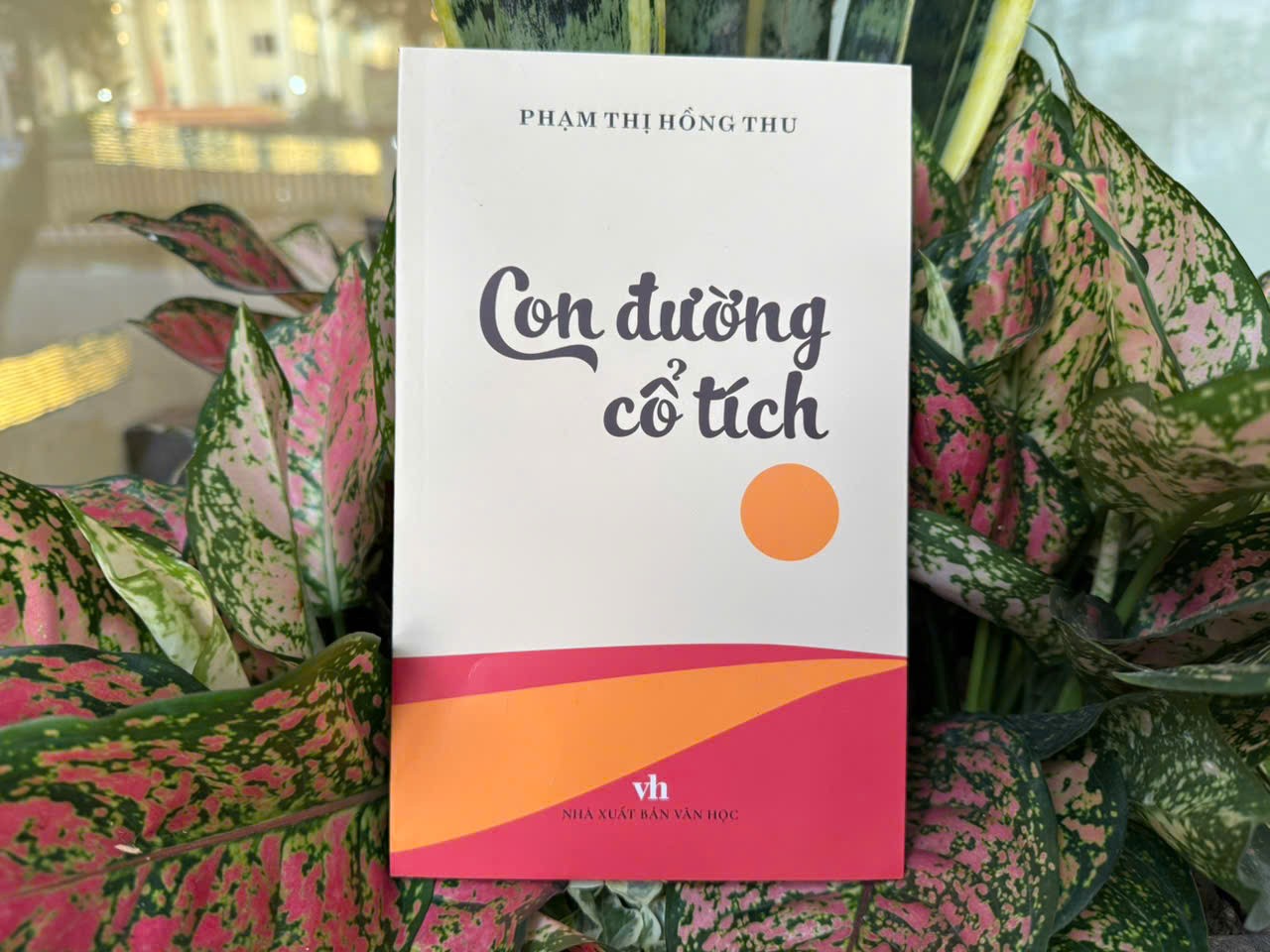 con-duong-co-tich-1791189271.jpg