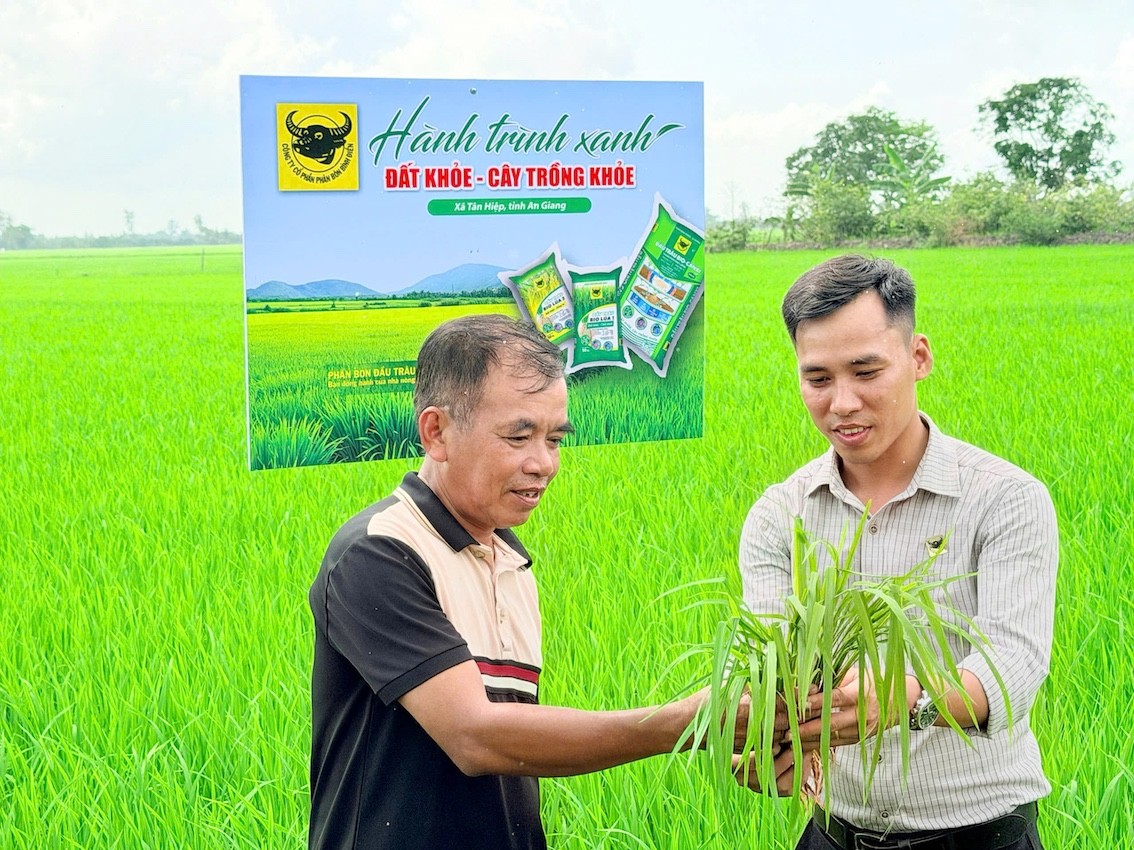 anh-1-1-1781852152.jpg