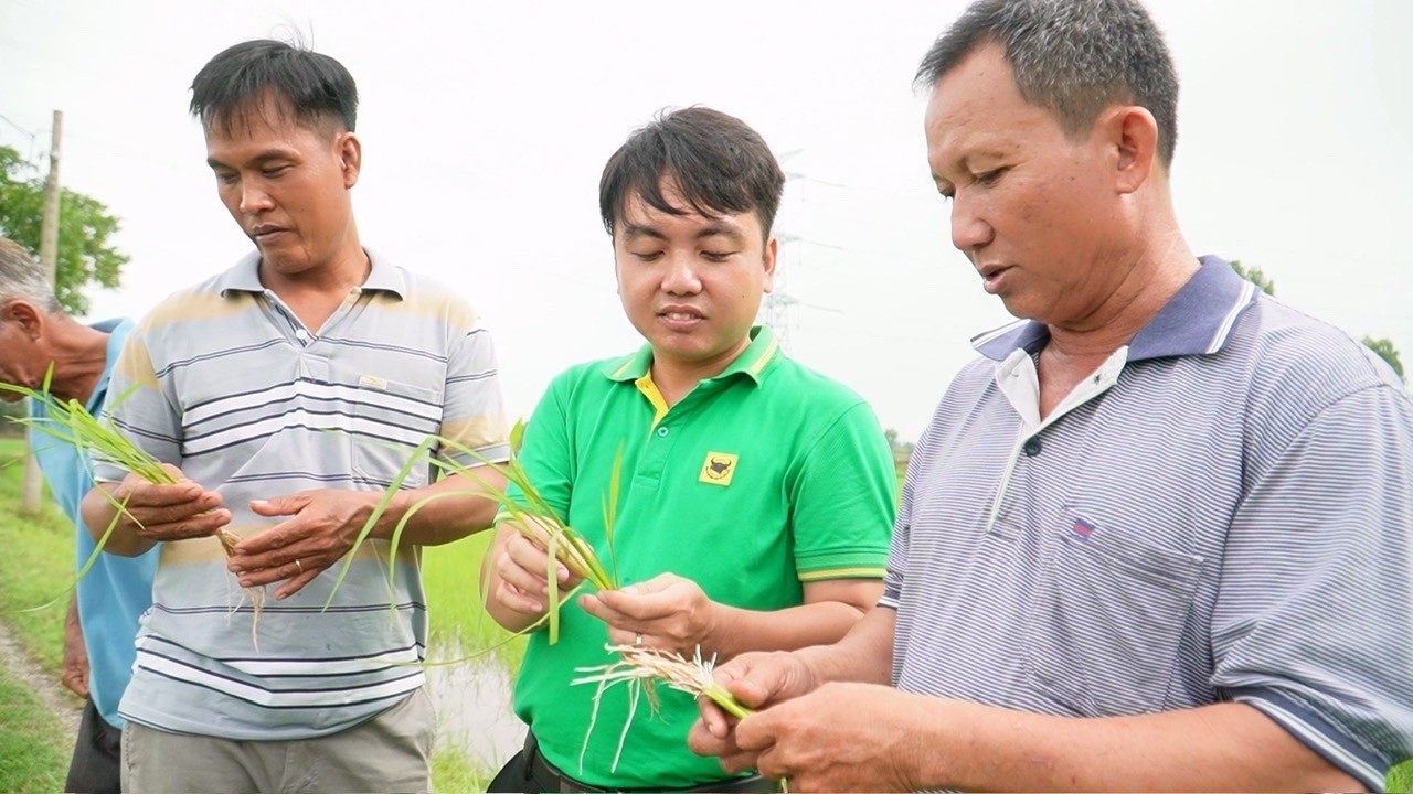 anh-2-1783935987.jpg