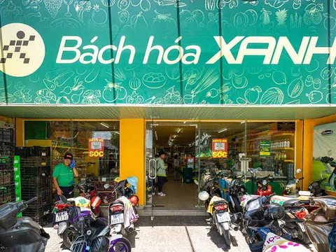 Thế Giới Di Động trồng rau