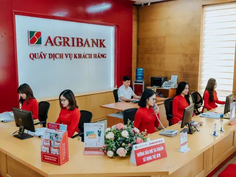 Công ty cho thuê tài chính Agribank lỗ kỷ lục, 'chôn' hàng trăm tỷ đồng của ngân hàng mẹ