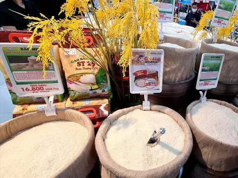 Ngành gạo Việt Nam cần tận dụng tốt các cơ hội thị trường để nâng cao năng lực chuỗi cung ứng