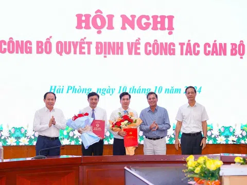 Hải Phòng: Điều động, bổ nhiệm cán bộ Ban Tổ chức Thành uỷ và Sở Nội vụ