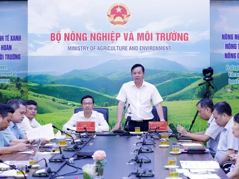 Tháo gỡ những khó khăn khi thực hiện phân quyền, phân cấp trong lĩnh vực trồng trọt và bảo vệ thực vật