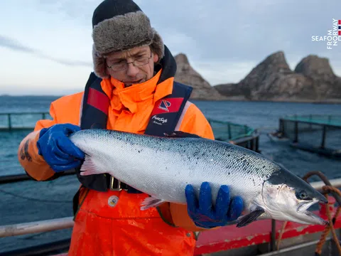 Việt Nam được kỳ vọng tiếp tục là điểm sáng tăng trưởng của cá hồi Na Uy trong năm 2026