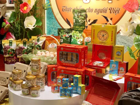 Khai mạc “Sức sống hàng Việt” số 4: Thực phẩm cho người Việt