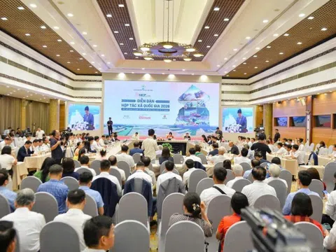 Diễn đàn Hợp tác xã Quốc gia 2026: Kết nối kinh tế hợp tác với hệ sinh thái kinh tế tư nhân