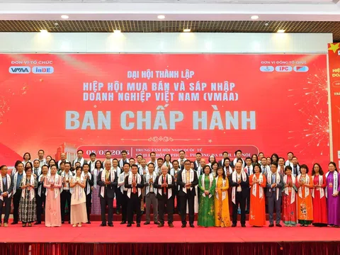 Việt Nam thành lập Hiệp hội M&A đầu tiên giữa làn sóng tái cấu trúc doanh nghiệp
