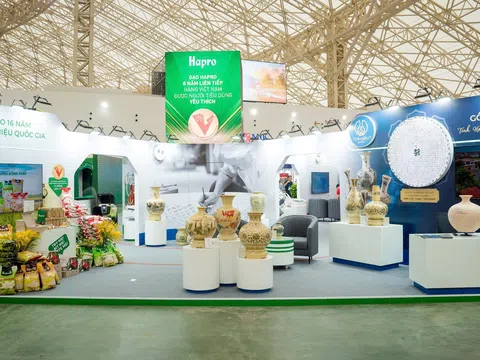 Gạo Hapro Đồng Tháp – Nâng tầm hạt ngọc Việt