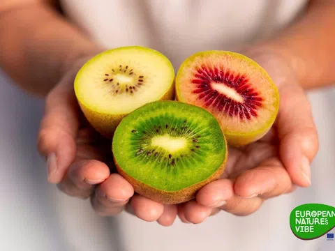 European Nature’s Vibe khởi động mùa kiwi mới tại Việt Nam, Hàn Quốc, Đài Loan và Malaysia