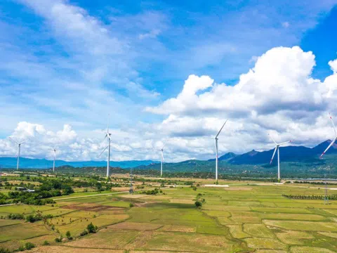 Tập đoàn Trung Nam chính thức khánh thành Nhà máy điện gió số 5 Ninh Thuận
