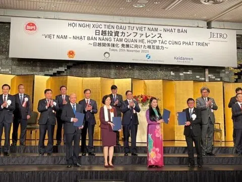 Vinamilk và Vilico bắt tay Tập đoàn Sojitz của Nhật phát triển dự án nuôi bò thịt 500 triệu USD tại Việt Nam