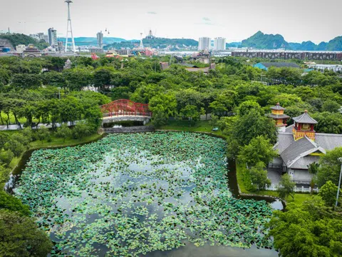 Bật mí điểm check-in với sen cực hot khi đến Sun World Ha Long