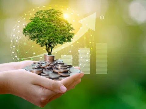 Có 5 cấp độ giàu có, gia đình bạn đang số mấy?