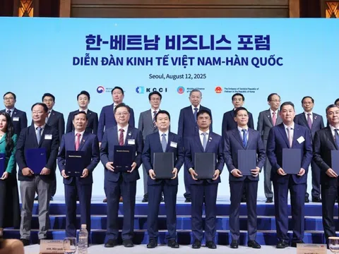 KN Holdings hợp tác Samsung C&T phát triển 864 MW điện mặt trời nổi
