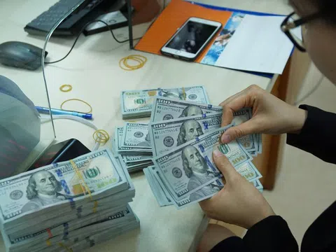 VnDirect: Việt Nam Đồng có thể mất giá khoảng 6-8% so với USD trong năm 2022
