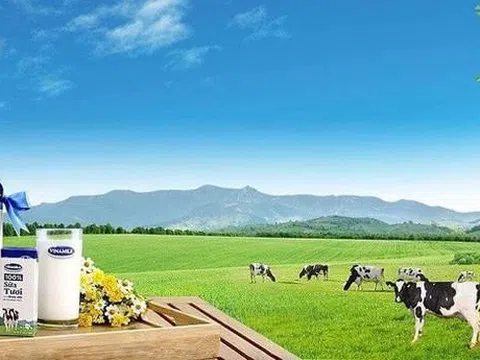 Vinamilk đẩy mạnh xây dựng mô hình phát triển bền vững trong ngành sữa