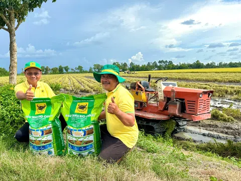 Đầu Trâu Bio-Canxi: Một giải pháp phân bón mới cho canh tác lúa gạo bền vững và giảm phát thải
