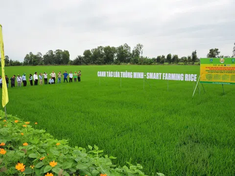 Đầu Trâu Bio-Canxi – Vì một nền nông nghiệp bền vững
