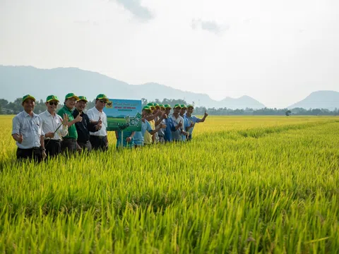 Đồng hành cùng nông dân xây dựng đất khỏe – Bình Điền thúc đẩy hành trình nông nghiệp xanh