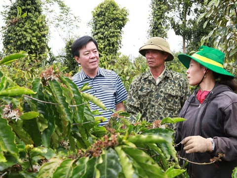 Ông Ngô Văn Đông - Tổng Giám đốc Công ty Cổ phần phân bón Bình Điền: Bản lĩnh “thuyền trưởng” và thương hiệu của niềm tin
