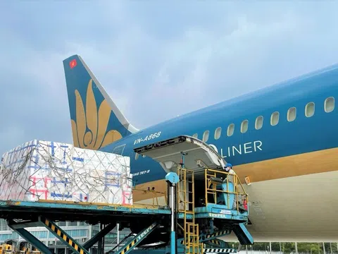 Vietnam Airlines tính lập hãng máy bay chở hàng, IPP Air Cargo của tỷ phú Johnathan Hạnh Nguyễn sẽ ‘hết cửa’ được cấp phép?
