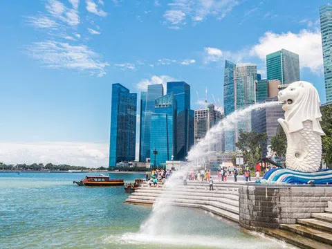 Startup Việt "thích" Singapore hơn Việt Nam - Liệu có nguy cơ chảy máu chất xám?