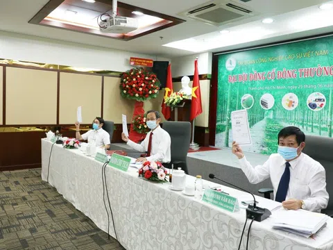 Tập đoàn Công nghiệp Cao su Việt Nam quyết định tỷ lệ chia cổ tức năm 2020 là 6%/vốn điều lệi