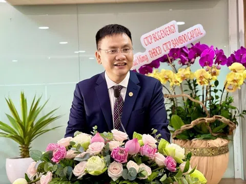 Ông Nguyễn Hồ Nam chủ tịch Bamboo Capital mua đủ 5 triệu cổ phiếu BCG đã đăng ký