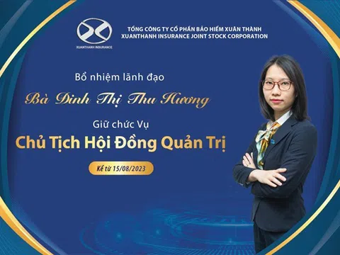 Chân dung bà Đinh Thị Thu Hương - người thay thế em trai Bầu Thuỵ làm Chủ tịch Bảo hiểm Xuân Thành