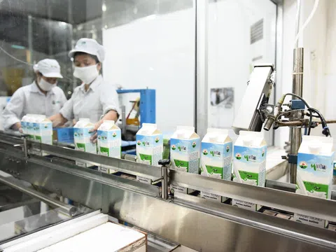 Muốn đưa 110 triệu cổ phiếu MCM trên sàn HoSE, tình hình kinh doanh của Sữa Mộc Châu ra sao?