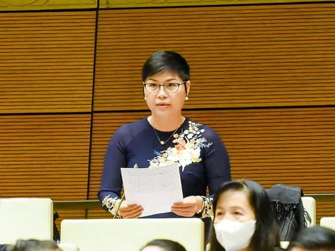 Chân dung bà Đỗ Thị Thu Hằng - tân Chủ tịch HĐTV Tổng công ty Dofico