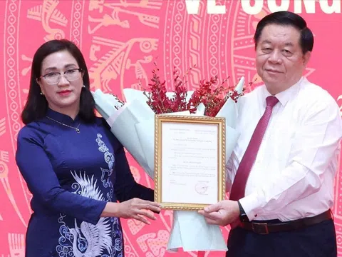 Chân dung tân Phó trưởng Ban Tuyên giáo Trung ương Đinh Thị Mai