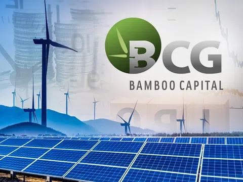 Tập đoàn Bamboo Capital vào Top 100 doanh nghiệp tư nhân nộp ngân sách lớn nhất Việt Nam