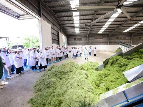 Vinamilk “mở khoá tự nhiên” tại Green Farm: Mô hình sinh thái truyền cảm hứng doanh nghiệp