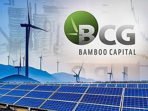 Bamboo Capital nỗ lực hoàn thiện báo cáo tài chính giữa giai đoạn chuyển đổi nhân sự