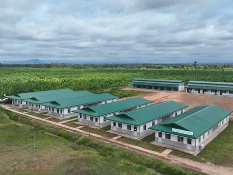 THACO đề xuất xây dựng khu liên hợp nông nghiệp quy mô lớn tại Gia Lai