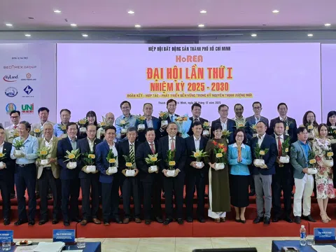 HoREA và vai trò dẫn dắt trong giai đoạn tái cấu trúc thị trường bất động sản