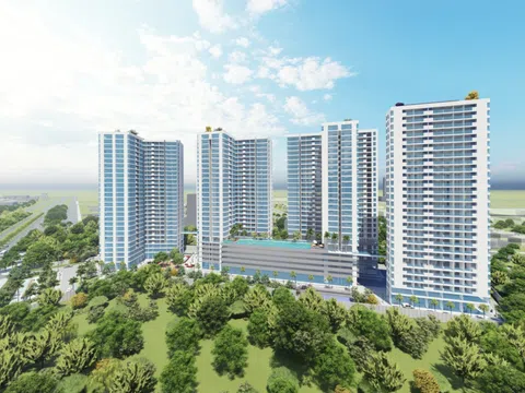 Dự án Tân Việt Phát có bóng dáng Trần Thái Group được giao đất thời hạn 50 năm