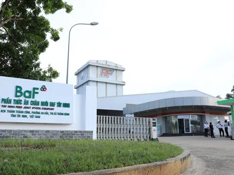 BAF hướng tới lợi nhuận gần 800 tỷ đồng năm 2026, tăng tốc trên nền tảng tái cấu trúc và mở rộng quy mô