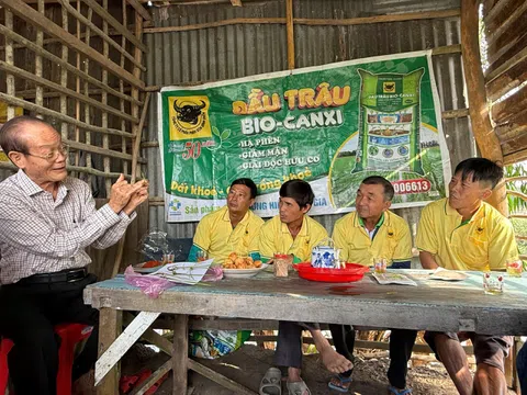 Từ vùng đất phèn đến mùa vàng 7 tấn lúa/ha