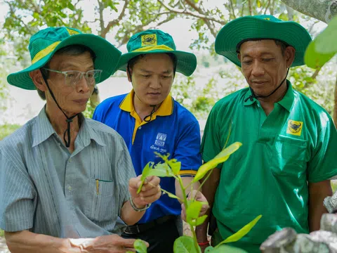 Mang giải pháp dinh dưỡng khoa học cho điều Campuchia: Hành trình kiến tạo từ những mùa vàng thịnh vượng